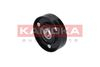 R0202 KAMOKA
